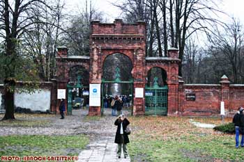 IMG_ (10125)